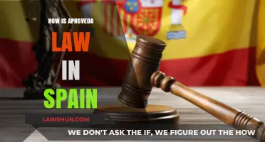 Understanding the Approval Process of Laws in Spain: A Comprehensive Guide