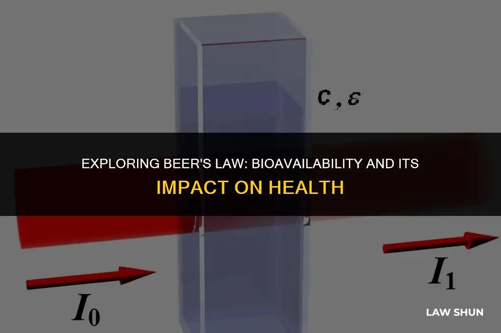 how is beer