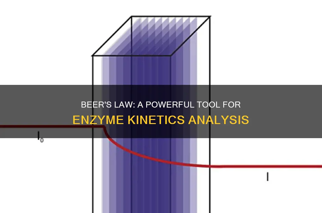 how is beer