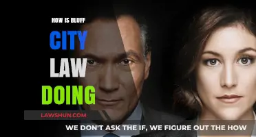 Analyzing Bluff City Law's Performance: A Comprehensive Review