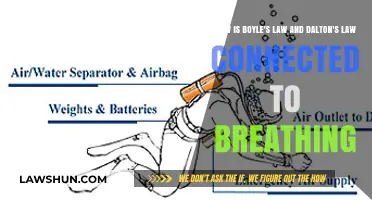 Breathing Mechanics: Boyle's and Dalton's Laws Explained