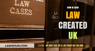 The Evolution of UK Case Law
