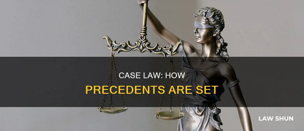 how is case law established