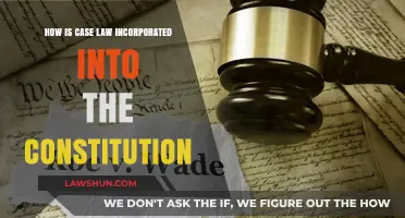 Case Law's Constitutional Influence