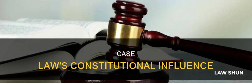 how is case law incorporated into the constitution