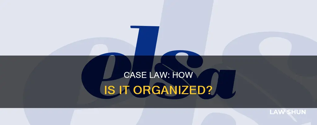 how is case law organized
