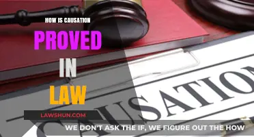 Unraveling the Complexities of Causation in Legal Cases