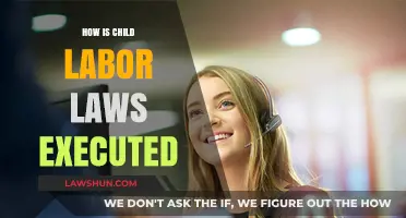 Enforcing Child Labor Laws: Mechanisms, Challenges, and Global Impact