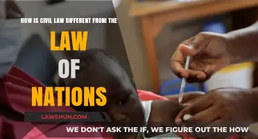Civil Law vs. Law of Nations: What's the Difference?