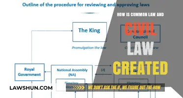 Laws' Creation: Civil vs Common