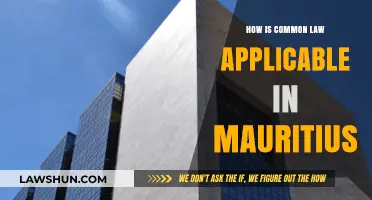 Common Law in Mauritius: What's the Deal?