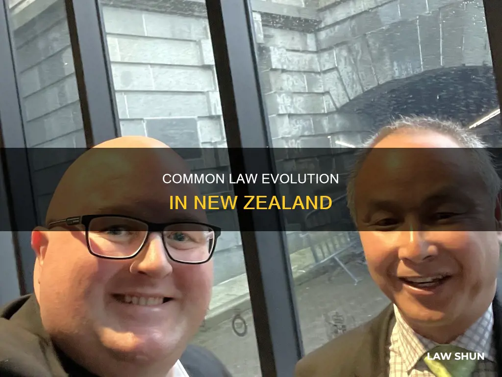 how is common law created in nz