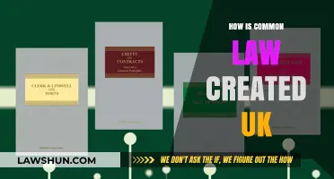 The Evolution of UK Common Law