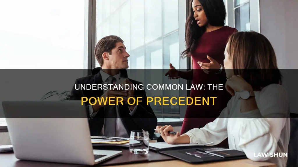 how is common law created using precedent