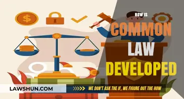 The Evolution of Common Law: How It's Developed