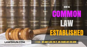 The Evolution of Common Law