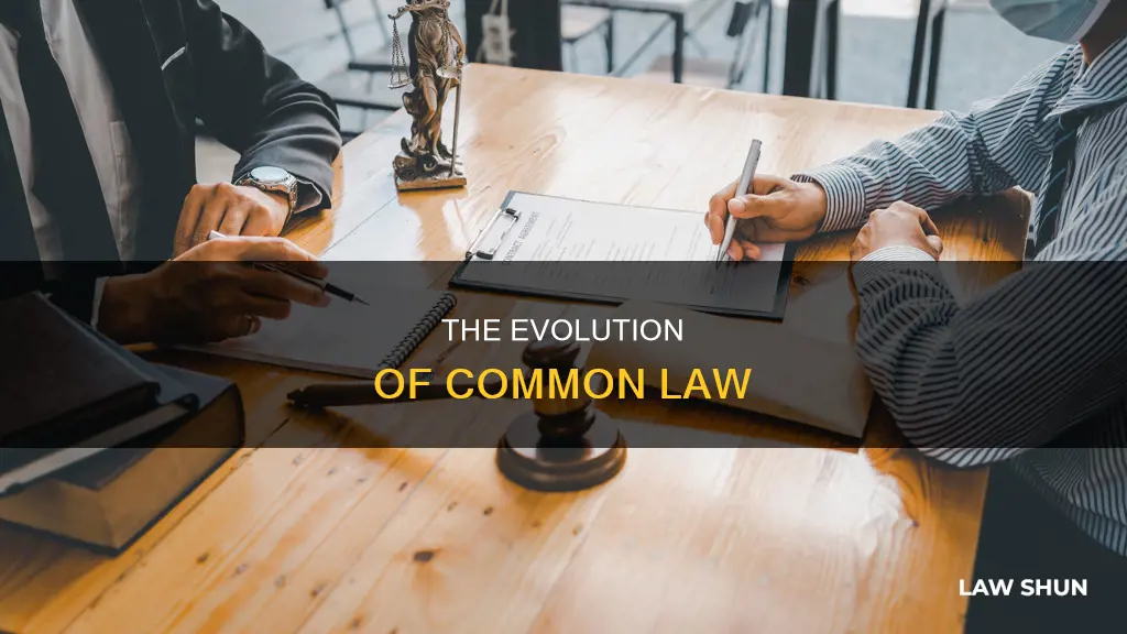 how is common law established