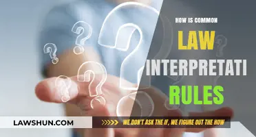 Common Law Interpretation: Rules and Application