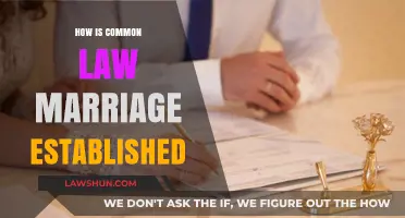 Establishing Common Law Marriage: What You Need to Know
