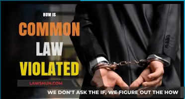 Common Law Violations: Understanding the Breaches