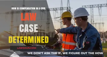 Civil Law Compensation: What Determines the Amount?