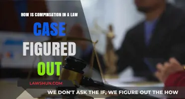 Understanding Law Case Compensation