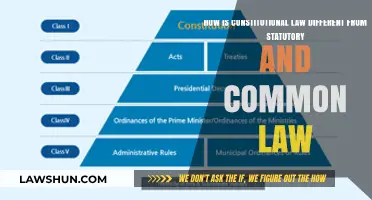 Constitutional Law: Unique Power Over Statutes and Common Law