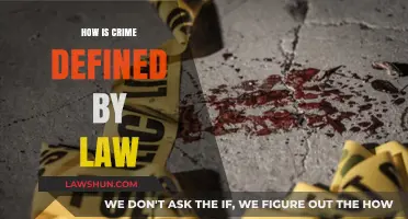Understanding Crime: A Legal Perspective on Criminal Offenses