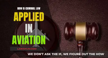 Criminal Law in Aviation: Application and Enforcement