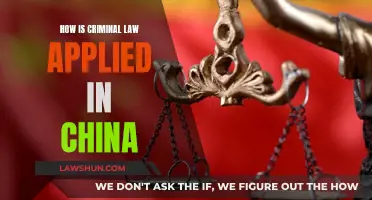 Criminal Law in China: A Comprehensive Overview