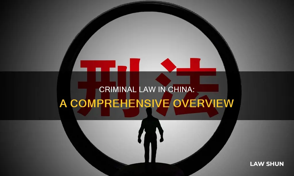 how is criminal law applied in china