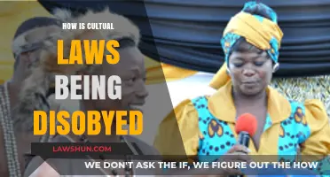 Cultural Laws Disobeyed: A Critical Examination of Societal Norms