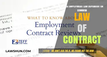 Employment Law: Contracts' Common Law Roots