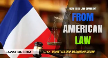 US vs EU Law: What Sets Them Apart?