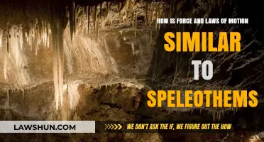 Exploring the Surprising Parallels Between Motion's Laws and Speleothems