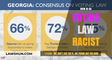 Examining the Racial Implications of Georgia's Voting Law