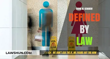 Legal Perspectives on Gender: Understanding Definitions and Implications