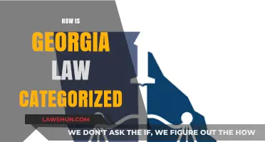 Understanding Georgia Law: A Comprehensive Categorization Guide