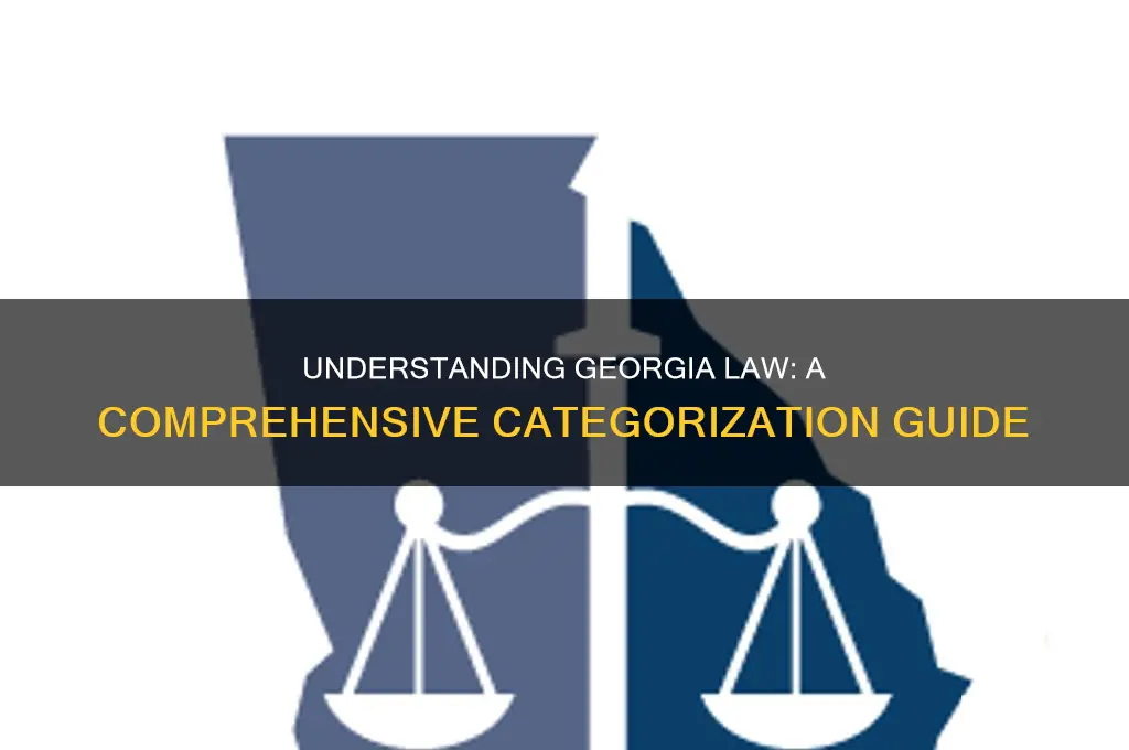 how is georgia law categorized