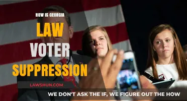Georgia's Voter Suppression Laws: Impact on Democracy and Voting Rights