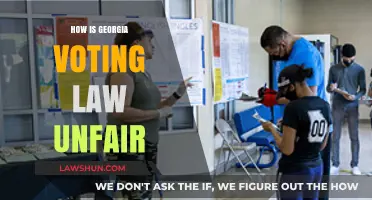 Georgia's Voting Law: Unfair Restrictions on Democracy and Equality