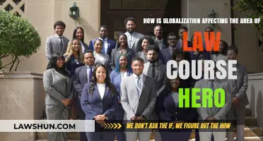 Globalization's Impact on Law: Transforming Legal Education and Practice