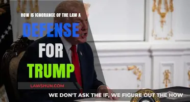 Trump's Legal Strategy: Ignorance of the Law as a Defense?