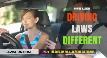 Illinois Driving Laws: Unique Rules and Regulations