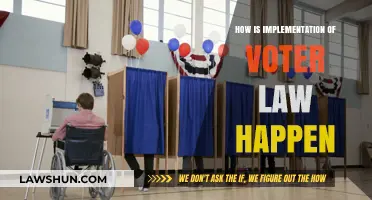 Understanding the Process of Implementing Voter Laws in Democracy