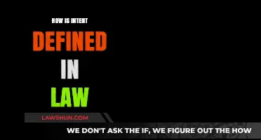 Understanding Intent: A Legal Perspective on Mens Rea