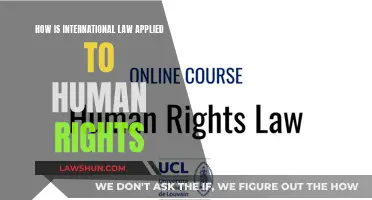 International Law's Role in Protecting Human Rights