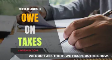 Understanding Tax Laws: Strategies to Reduce Your Tax Debt