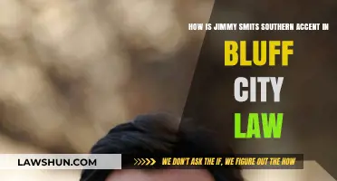 Bluff City Law: Analyzing Jimmy Smits' Southern Accent Authenticity