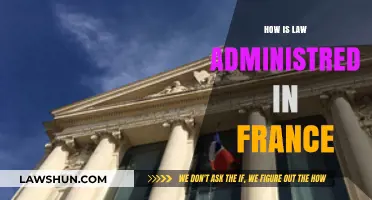 Navigating the French Legal System: An Insider's Guide